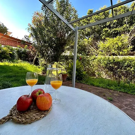 Casa Mariposa Lejlighed Sauzal